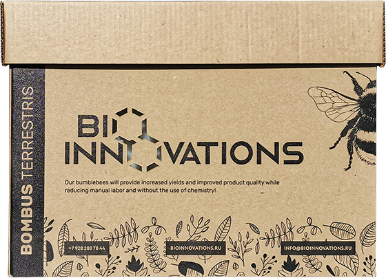 Bumblbees from BioInnovations