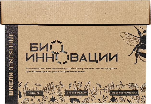 Шмели от БиоИнновации
